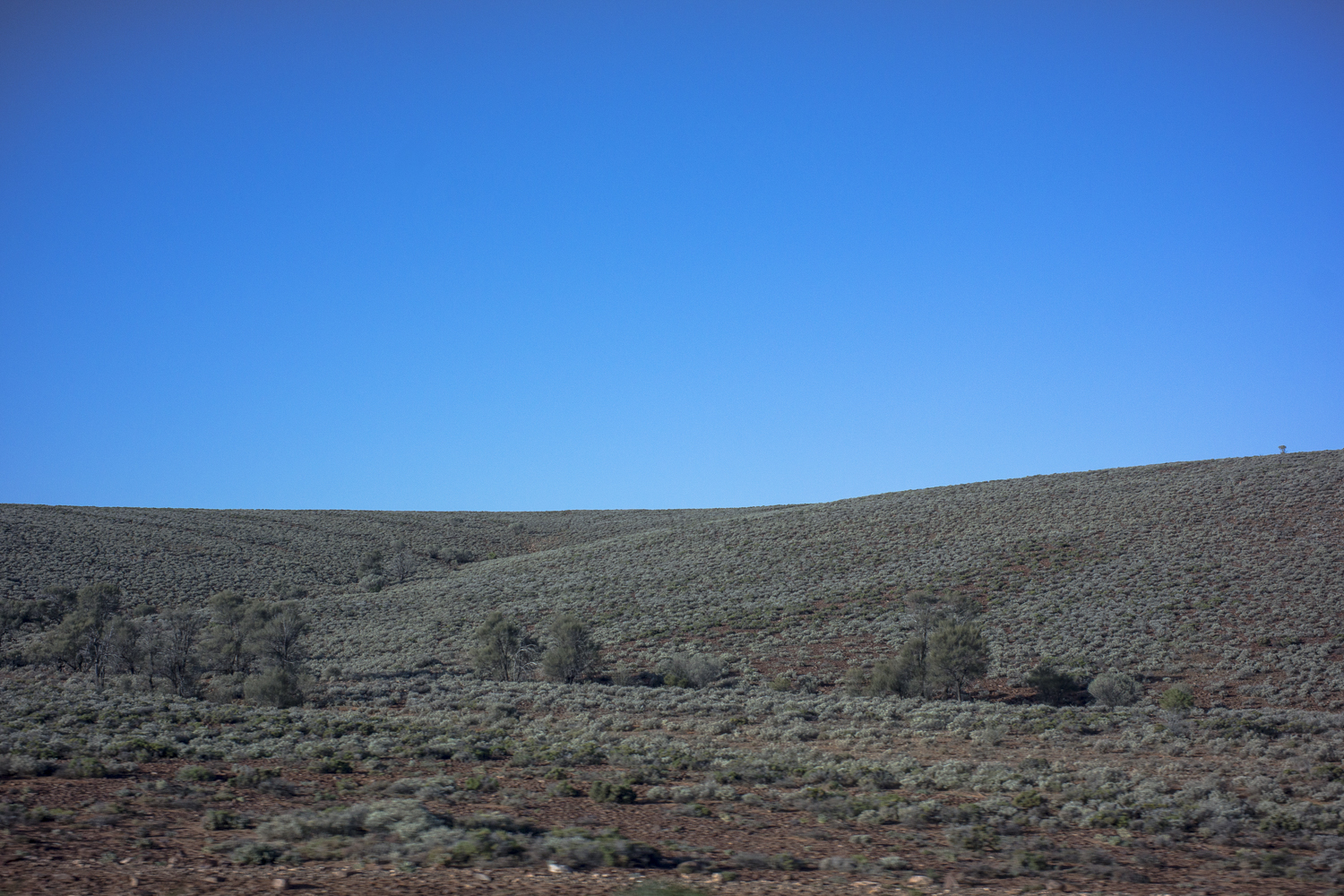 landscape, Woomera