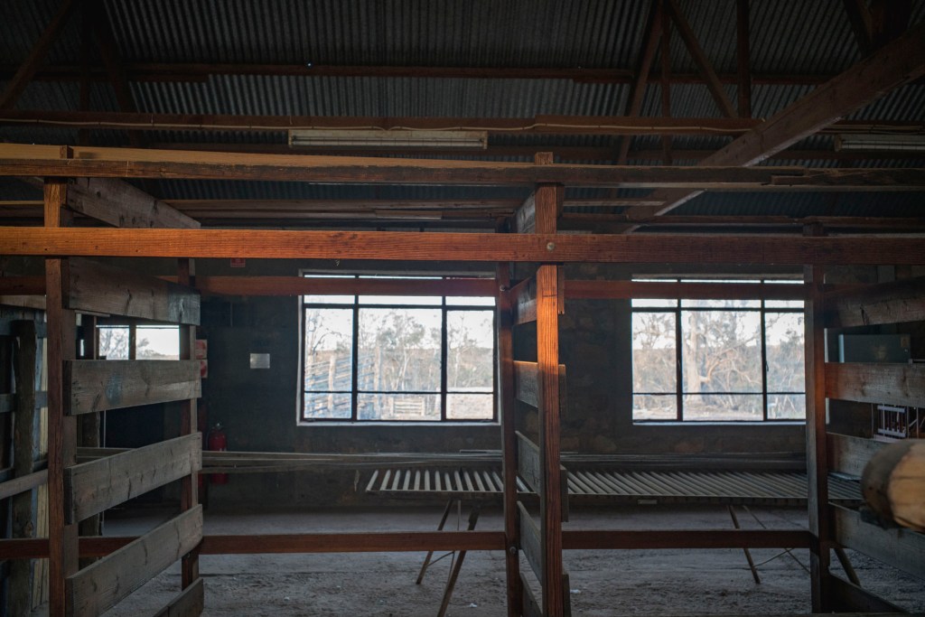 Balcanoona shearing shed