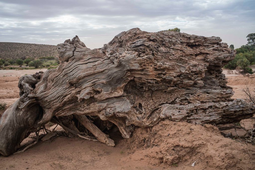 Hookina Creek: deep&nbsp;history